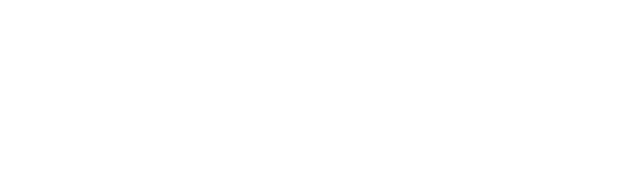 Logo-ul companiei Flo-Trans Company Junior