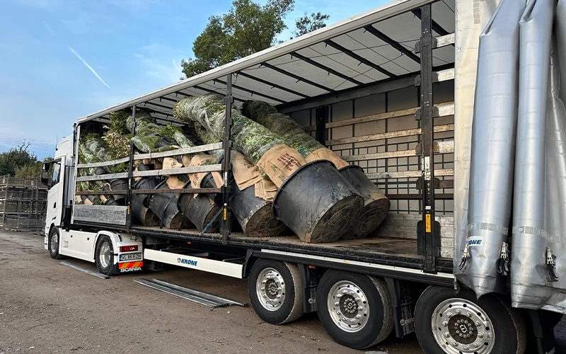 Transportam plante si canapele vrac cu o flota moderna si profesionalism garantat